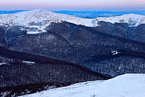 Halicz and Rozsypaniec Peaks. Bieszczady, Carpathian Mountains, Poland, January 2010.