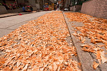 Sharks' fins laid out to dry on the streets of Hong Kong's Sheung Wan District, April 2009.