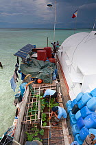 Tubbataha reef rangers at home on their station, tending to the vegetable garden with laundry drying behind. Tubbataha National Marine Park, Philippines, April 2009.