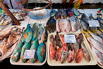 Public wet market selling locally caught reef fish. Palawan, Philippines, April 2009.
