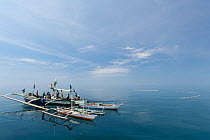 Baling (local purse seine fishing boat) catching dilis, the Tagalog term for anchovies. The fishermen pull in the vessel's massive net, hauling in catches of anchovies or silversides. Northern Palawan...