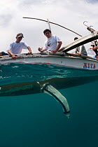 WWF Philippines Donsol Research Coordinator Elson Aca and research assistant collecting plankton to study what whale sharks eat. Donsol, Philippines, May 2009.