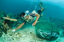Fisherman collecting freshly blasted or dynamited schooling fish in the reef. Phillipines, April 2009.