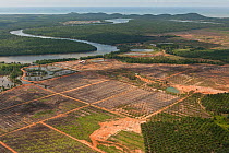 Aerial view of palm oil plantations (Elaeis guineensis). Sabah, Malaysia, June 2009.