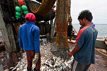 A catch of assorted fish being released onto the deck of a fishing boat after an hour or so of dragging the trawl net along the ocean floor. Kudat Bay, Malaysia, June 2009.