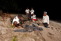WWF Sorong team with local Papuan patrollers doing Leatherback turtle (Dermochelys coriacea) research. Warmamedi beach, Bird's Head Peninsula, West Papua, Indonesia, July 2009.