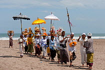 A melasti near one of Bali's most sacred Hindu temples, Pura Petitenget. This religious ceremony, meaning 'to purify', can be performed in a lake, river, spring, or the ocean. Followers pray to their...