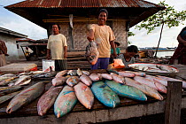 Vendors selling fish in the Wangi Wangi afternoon public market. Wakatobi, Sulawesi, Indonesia, November 2009.