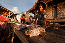 Vendors selling fish (including Pufferfish) in the Wangi Wangi afternoon public market. Wakatobi, Sulawesi, Indonesia, November 2009.