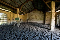 One metre of mud has washed into this now abandoned local church in Barangay Victoria. The mud has cracked in the dry summer heat, turning to fine dust that has permeated everything. Mindoro, Philippi...
