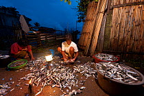 Men sorting the night's fish catch in the early morning. Northern Palawan, Phillipines, May 2009.