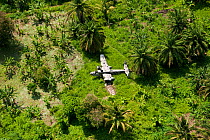 WWII plane wreck in the forest of Kimbe Bay. West New Britain, Papua New Guinea, October 2008.