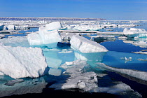 Melting ice at Floe Edge, Arctic Bay, Baffin Island, Nunavut, Canada, June 2011.