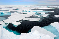 Melting ice at Floe Edge, Arctic Bay, Baffin Island, Nunavut, Canada, June.