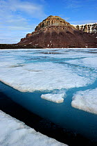 Floe edge of melting icepack with eroding coastal mountains. Arctic Bay, Baffin Island, Nunavut, Canada, June.