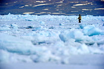 Inuit hunter on icepack. Floe Edge, Arctic Bay, Baffin Island, Nunavut, Canada, June.