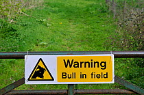 Warning sign 'Bull in Field'. UK, Europe.