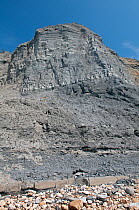 Fossil bearing cliffs on the 'Jurassic Coast'. Charmouth, Dorset, UK, April 2011.