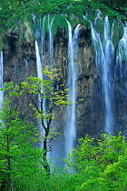 A cascade of waterfalls falling over a cliff in woodlands. Plitvice National Park, Croatia, May 2010.