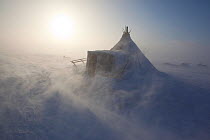 During a Spring storm, blowing snow swirls around a Nenets reindeer herders' winter camp on the tundra near Tambey, Yamal Peninsula, Western Siberia, Russia, March 2011