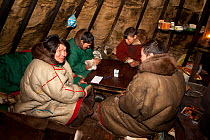 Nenets men playing cards in the evening at a reindeer herder's camp, Tambey, Yamal Peninsula, Western Siberia, Russia, March 2011