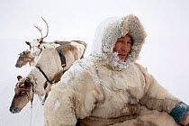 Leonid Tusido, a Nenets reindeer herder, sits on his sled at his winter pastures near Tambey. Yamal Peninsula, Western Siberia, Russia. March 2011