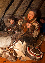 Nyaka, an elderly Nenets woman, using reindeer sinew to sew traditional clothing inside her family's reindeer skin tent. Tambey tundra, Yamal Peninsula, Western Siberia, Russia. March 2011