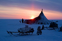 Sunset at a Nenets reindeer herder's winter camp on the tundra near Tambey. Yamal Peninsula, Western Siberia, Russia, March 2011
