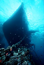 Shipwrecked tanker on coral reef off Ras Muhammed, Red Sea, Egypt