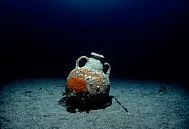 Roman Amphora on sea floor, Ustica Island, Italy,  Mediterranean Sea