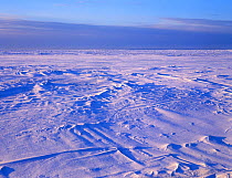 Sub arctic landscape with ice and frozen sea, Wapusk National Park, Hudson Bay, Manitoba, Canada, December 2004