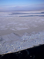 Aerial view of pancake ice sheet melting in Hudson Bay, Manitoba, Canada, December 2004