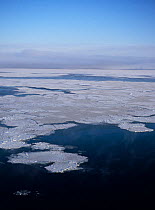Aerial view of pancake ice sheet melting in Hudson Bay, Manitoba, Canada, December 2004