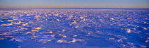 Sub arctic landscape with ice and frozen sea, Wapusk National Park, Hudson Bay, Manitoba, Canada, December 2004