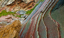 Flysch - a sequence of sedimentary rocks. Sakoneta beach, Deva, Gipuzkoa, The Bay of Byscay, Spain, June.