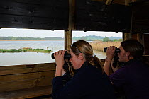 Assistant Wardens, Frances Payne and Lloyd Park, carrying out a bird count from a hide on Rutland Water, Rutland, UK, April 2011, Model released.