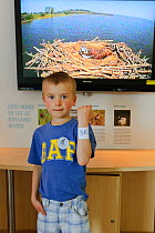 Young boy with the same birthday as male Osprey 5R, in front of the live web cam screen in the Lyndon Visitor Centre, Rutland Water, Rutland, UK, April 2011