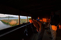 Visitors watch the Manton Bay osprey pair and talk with Leicester and Rutland Wildlife trust volunteers in the waderscrape hide at sunset, Lyndon Visitor Centre, Rutland Water, Rutland, UK, April 2011