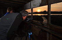 Visitors watch the Manton Bay osprey pair and talk with Leicester and Rutland Wildlife trust volunteers in the waderscrape hide at sunset, Lyndon Visitor Centre, Rutland Water, Rutland, UK, April 2011