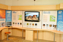Manton Bay Ospreys (Pandion haliaetus) on live web cam in the Lyndon Visitor Centre, Rutland Water, Rutland, UK, April 2011