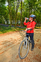 Young woman cycling in bluebell woods round Rutland Water, stopping to drink water, Rutland, UK, April 2011, Model released.
