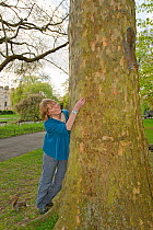 Woman leaning against tree trunk, feeding Grey Squirrel (Sciurus carolinensis) in parkland, Regent's Park, London, UK, April 2011, Model released.