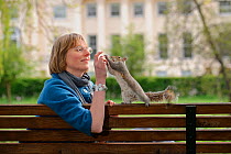 Woman sitting on bench, hand feeding Grey Squirrel (Sciurus carolinensis) in parkland, Regent's Park, London, UK, April 2011, Model released.
