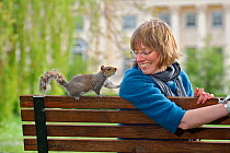 Woman sitting on bench beside Grey Squirrel (Sciurus carolinensis) begging for food in parkland, Regent's Park, London, UK, April 2011, Model released.  2020VISION Exhibition. 2020VISION Book Plate.