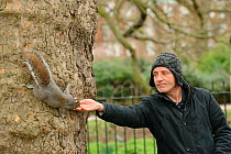 Man reaching out to hand feed Grey squirrel (Sciurus carolinensis) in parkland, Regent's Park, London.