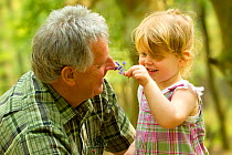 Young girl showing her grandfather a bluebell flower, The National Forest, Midlands, April 2011, Model released. 2020VISION Exhibition. Did you know? At the beginning of the 20th century special 'Blue...