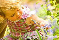 Young girl looking at bluebell flower, The National Forest, Midlands, April 2011, Model released. Did you know? The National Forest is a pioneering project in the heart of the Midlands. Each year more...