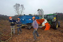 RSPB reserves staff removing birch trees from heathland and chipping waste for recycling, at Minsmere nature reserve, Suffolk, UK. February 2011. Model released