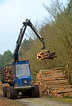Forestry workers with "forwarder" machine, removing felled timber from Dunwich Forest, Suffolk, UK, February 2011. Non-native Corsican pine trees planted in 1990 are gradually being removed by the For...