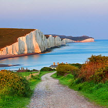 Path towards the coastguard cottages and the Seven Sisters Chalk Cliffs. Seaford Head Nature Reserve, East Sussex, UK, May 2009. *NOT AVAILABLE FOR BOOK COVER USE IN GERMANY, AUSTRIA AND SWITZERLAND U...